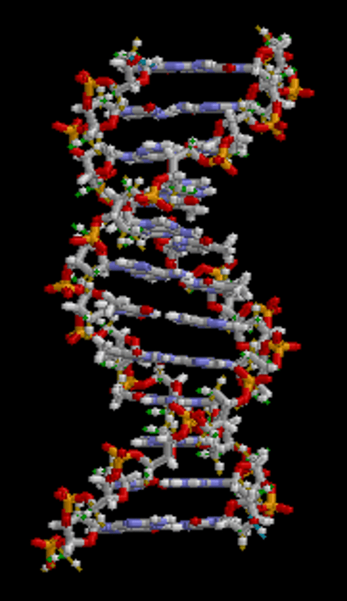 The link between genetics and disease is nuanced, but the more genomes you can study, the easier it is to find those links. brian0918/Wikimedia Commons