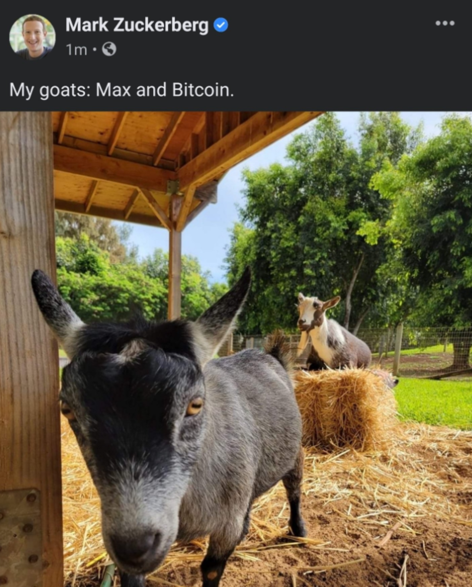 mark zuckerberg investind în bitcoin ghinde investește în bitcoin