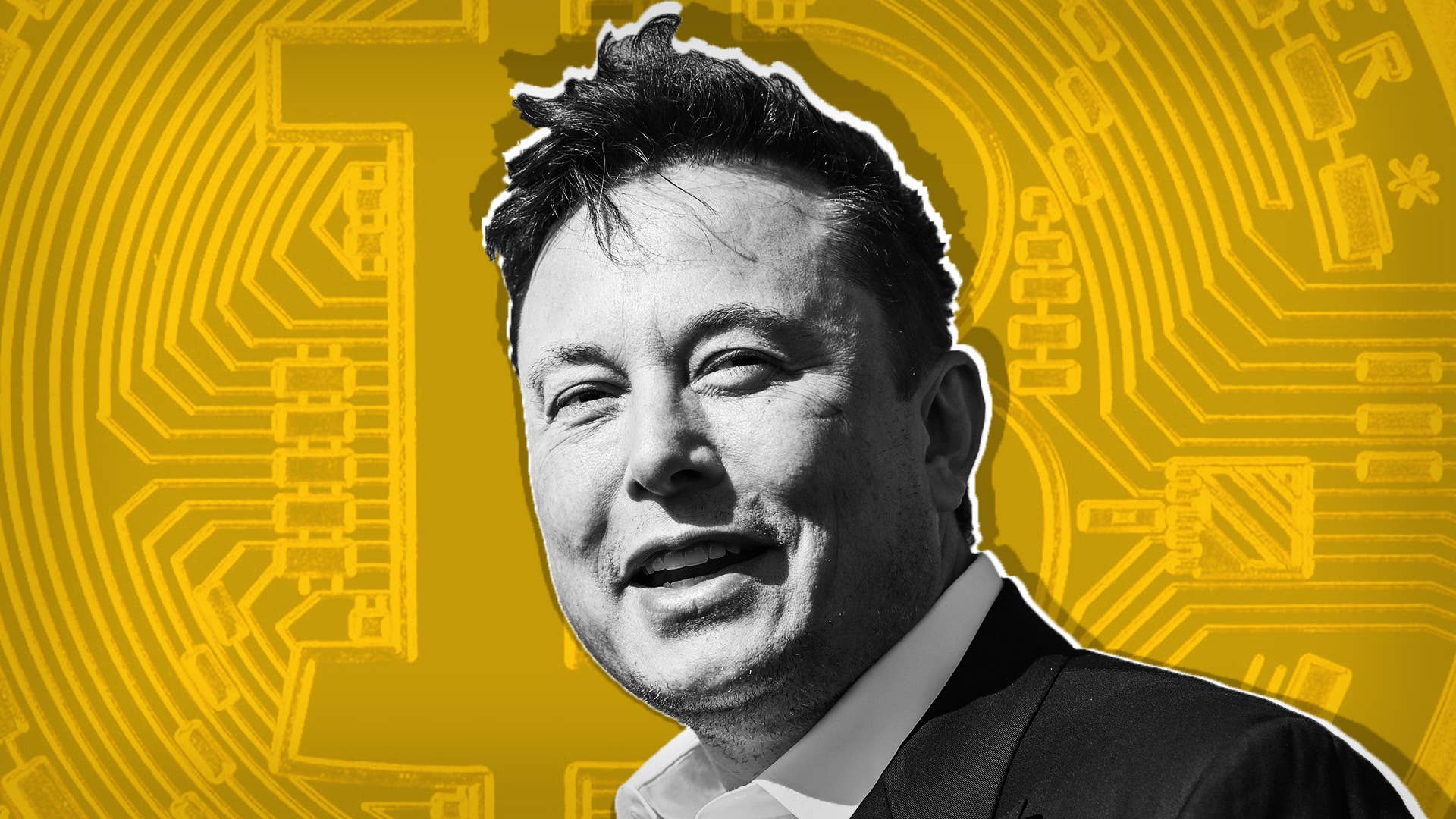 Teenager Asks Elon Musk for $50,000 to Scrub Jet-Tracking Twitter - Vimarsana News