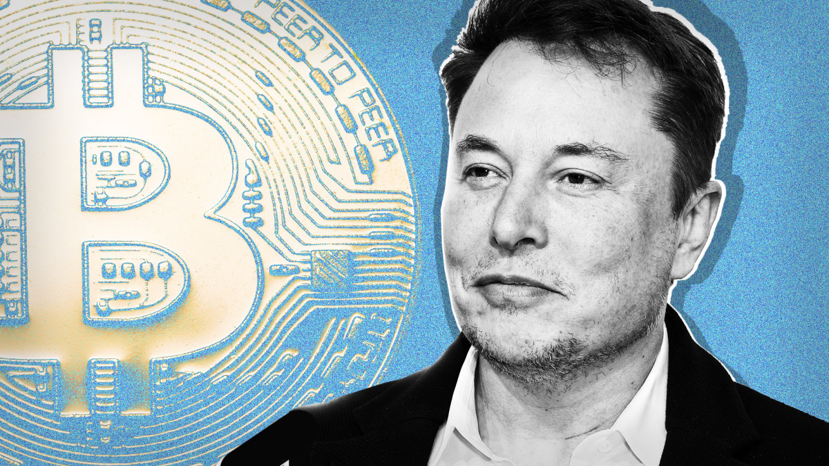 Elon Musk Bitcoin Lead