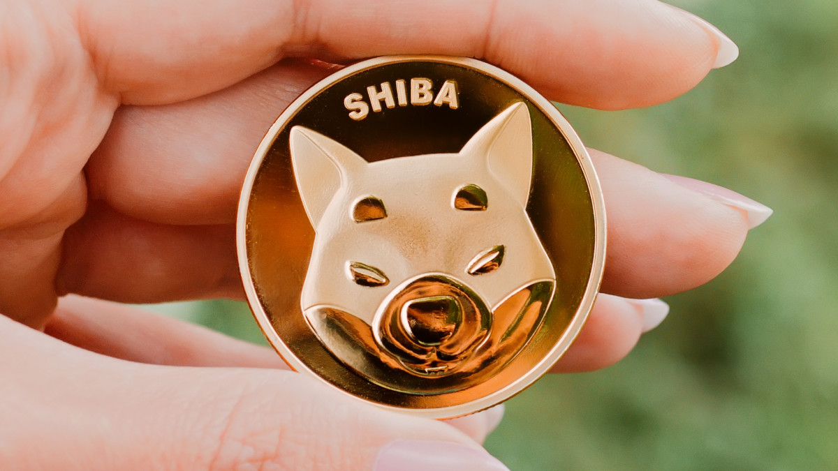 current price of shiba inu crypto