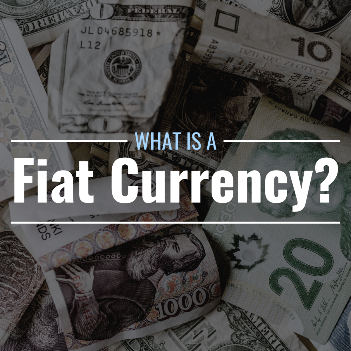 Darkened photo of a pile of paper money from various countries with text overlay that reads "What Is a Fiat Currency?"