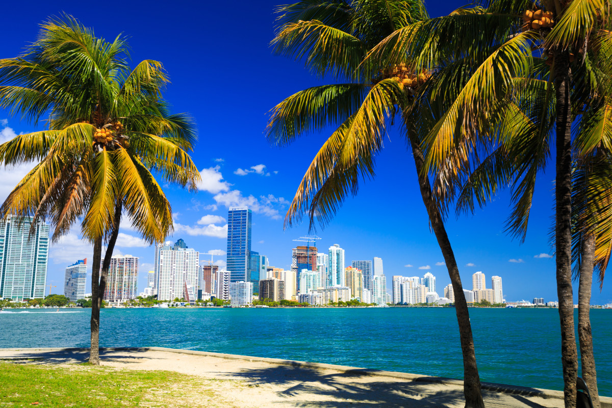 Crypto Investor Travel Guide: Miami - TheStreet Crypto: Bitcoin and  cryptocurrency news, advice, analysis and more