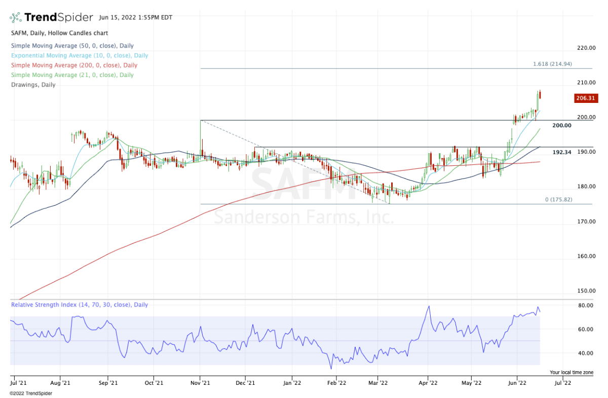 3 Stocks Outperforming Amid Market Carnage. Here Are the Charts