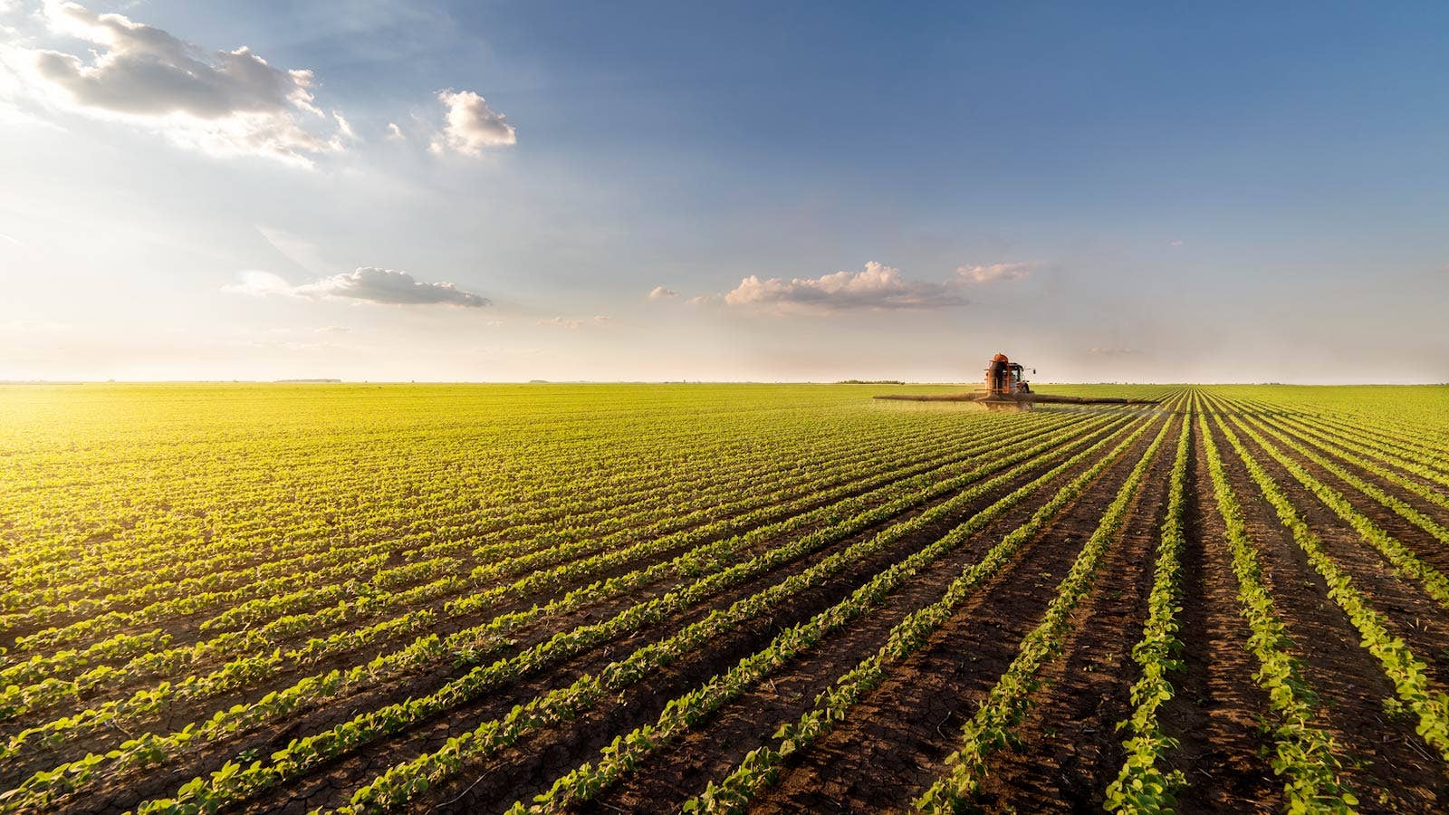 War, Acreage Surprises Lead to Volatility in Grain Markets - Vimarsana News