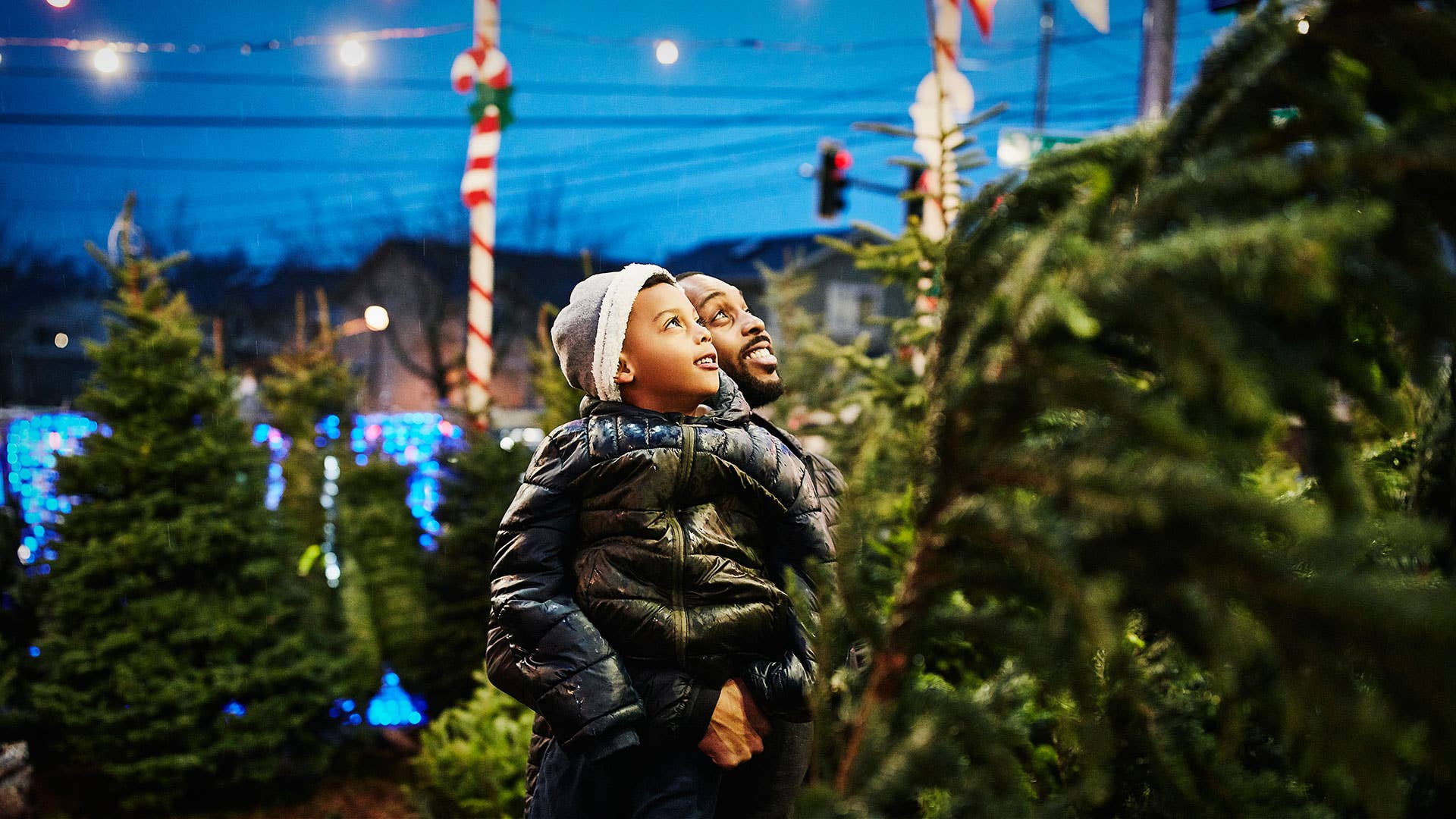 If You're Buying a Christmas Tree, Don't Pine, Just Move Fast - Vimarsana News