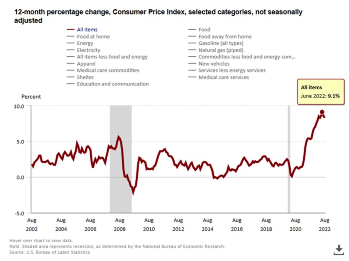 Figure 2: 12-month percentage change Consumer Price Index.