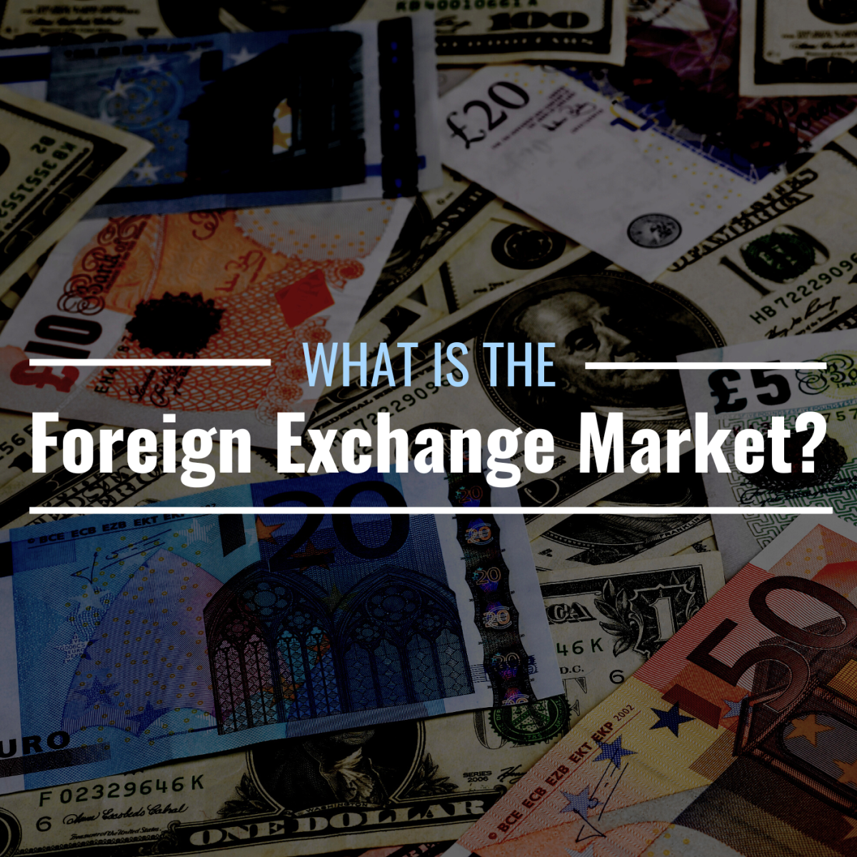 Photo of different currencies with text overlay that reads "What Is the Foreign Exchange Market?"