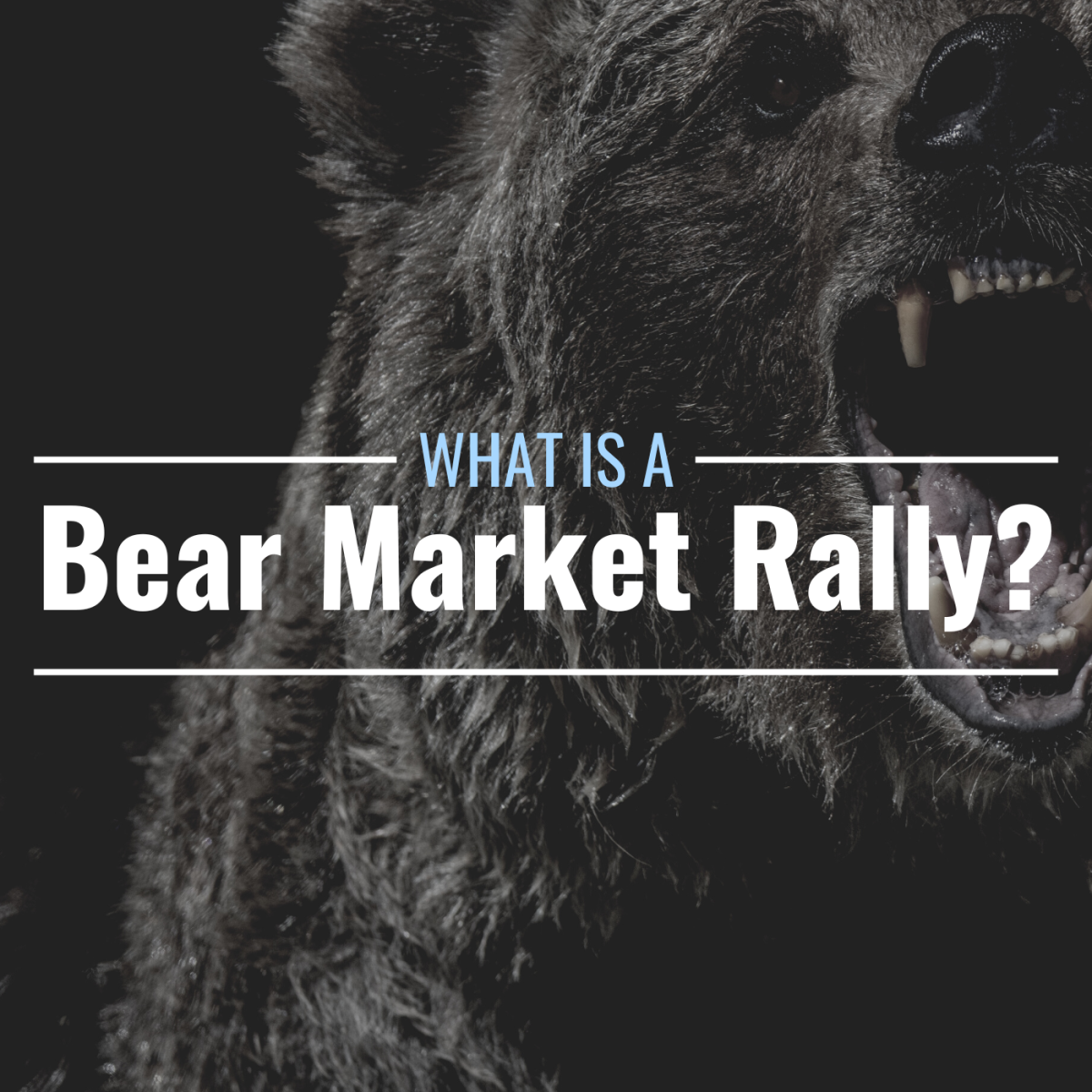 Darkened cropped photo of a snarling bear with text overlay that reads "What Is a Bear Market Rally?"