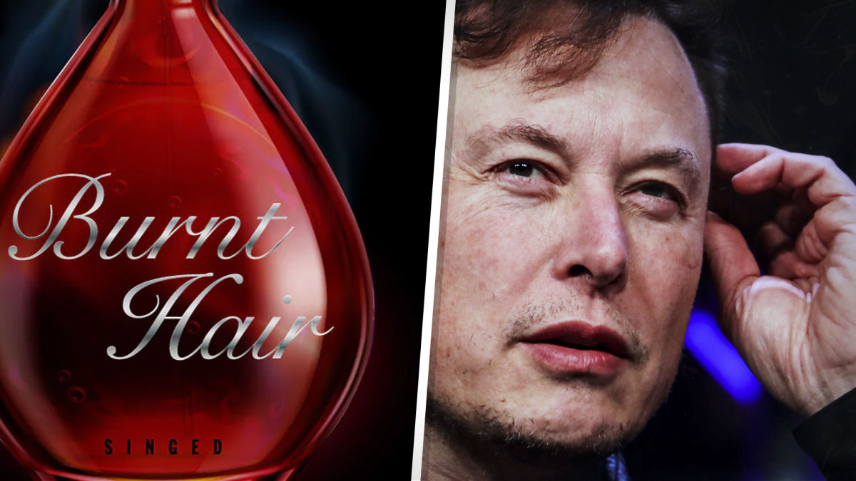 Elon Musk smells of success in a new opportunity