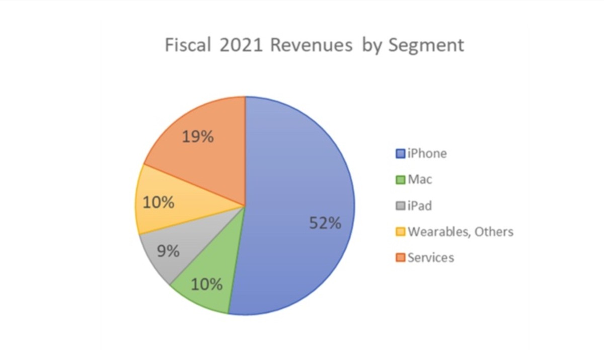 Figure 4: Fiscal 2021 revenues by segment.