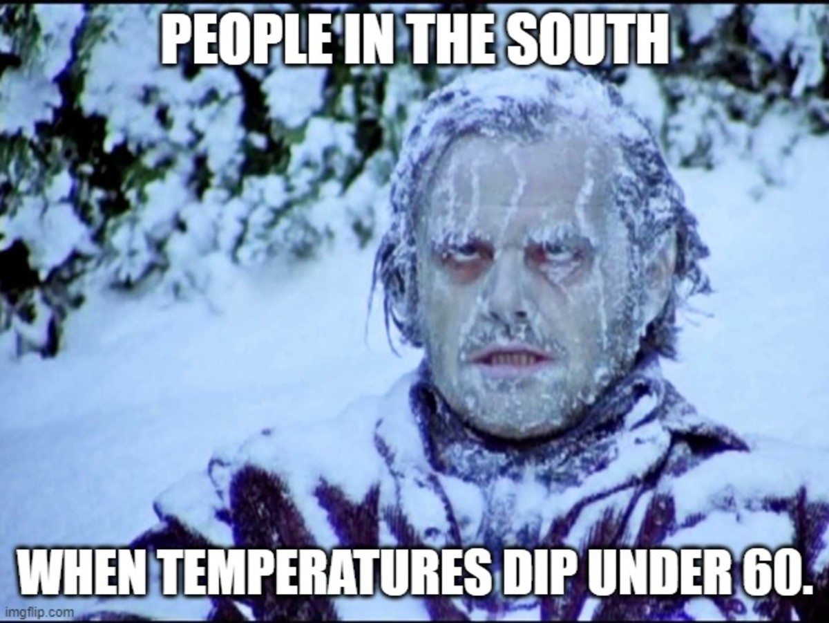 The South is Cold Meme
