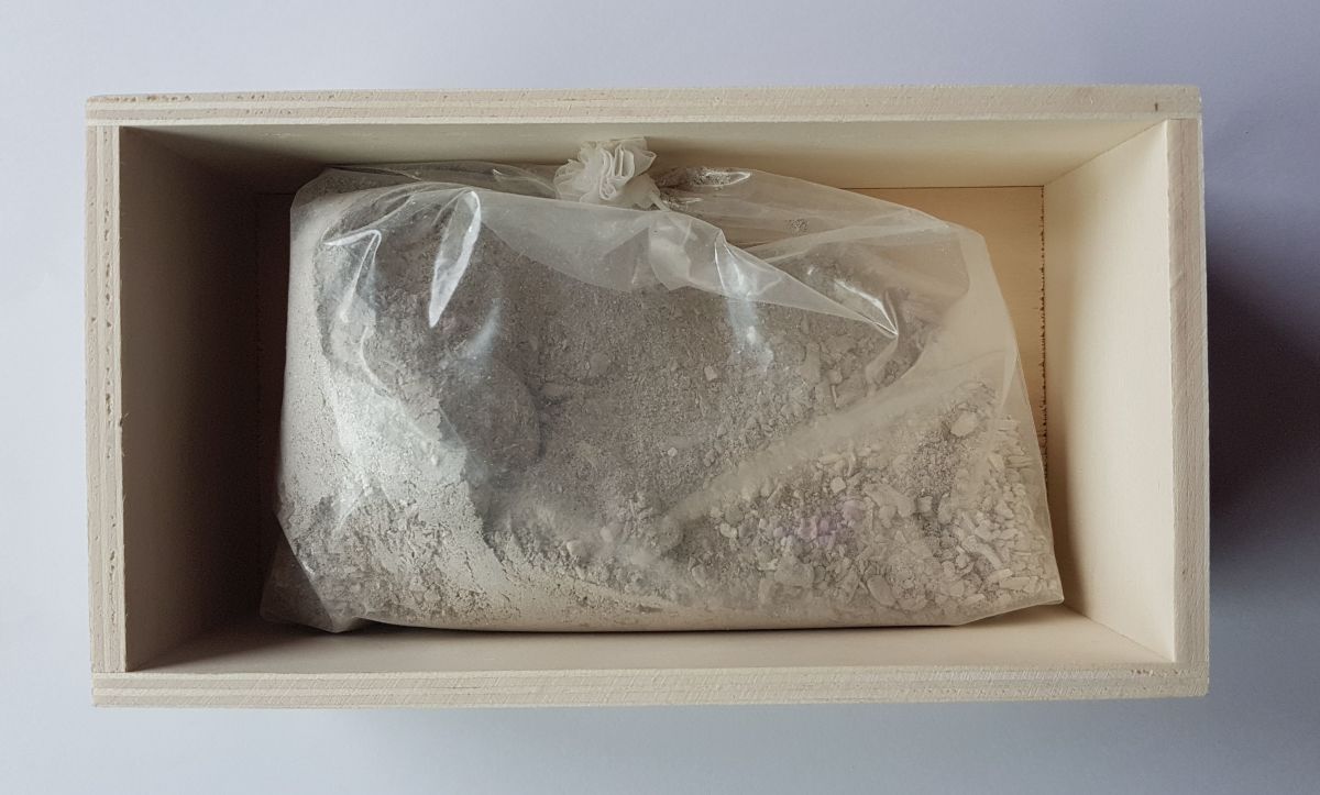 Cremated remains in a plastic bag inside a wooden box