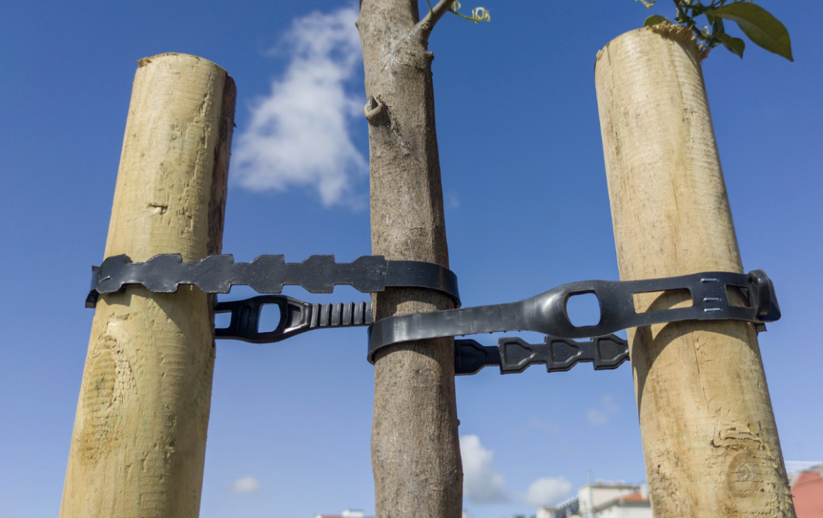 Excluding Staking From ETH ETF Proposals Could Benefit Broader Crypto  Staking - TheStreet Crypto: Bitcoin and cryptocurrency news, advice,  analysis and more