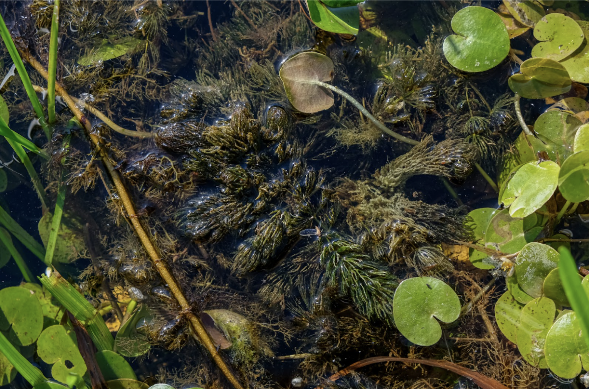 Blockchain Ecosystems Are Pouring Resources Into DeFi Growth - TheStreet  Crypto: Bitcoin and cryptocurrency news, advice, analysis and more