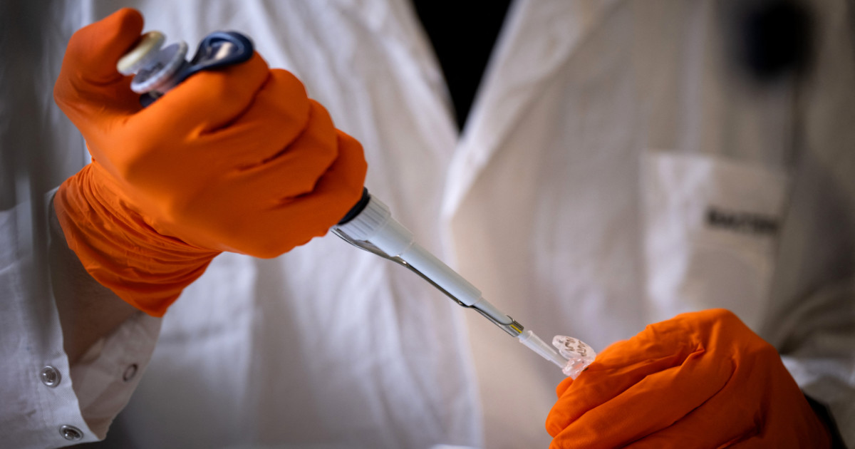 Tech boss uses AI and ChatGPT to make his dog a cancer vaccine - thestreet.com