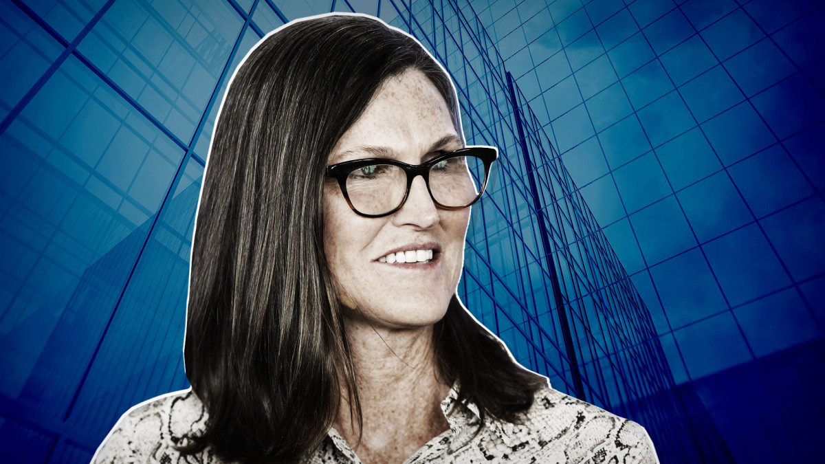 Cathie Wood Watch: Buys Nvidia, Organ-Transplant-Services Provider -  TheStreet