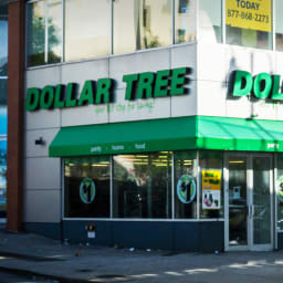 Dollar Tree CEO shares reassuring update on prices