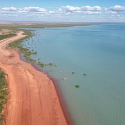 A plane crashed into waters full of crocodiles