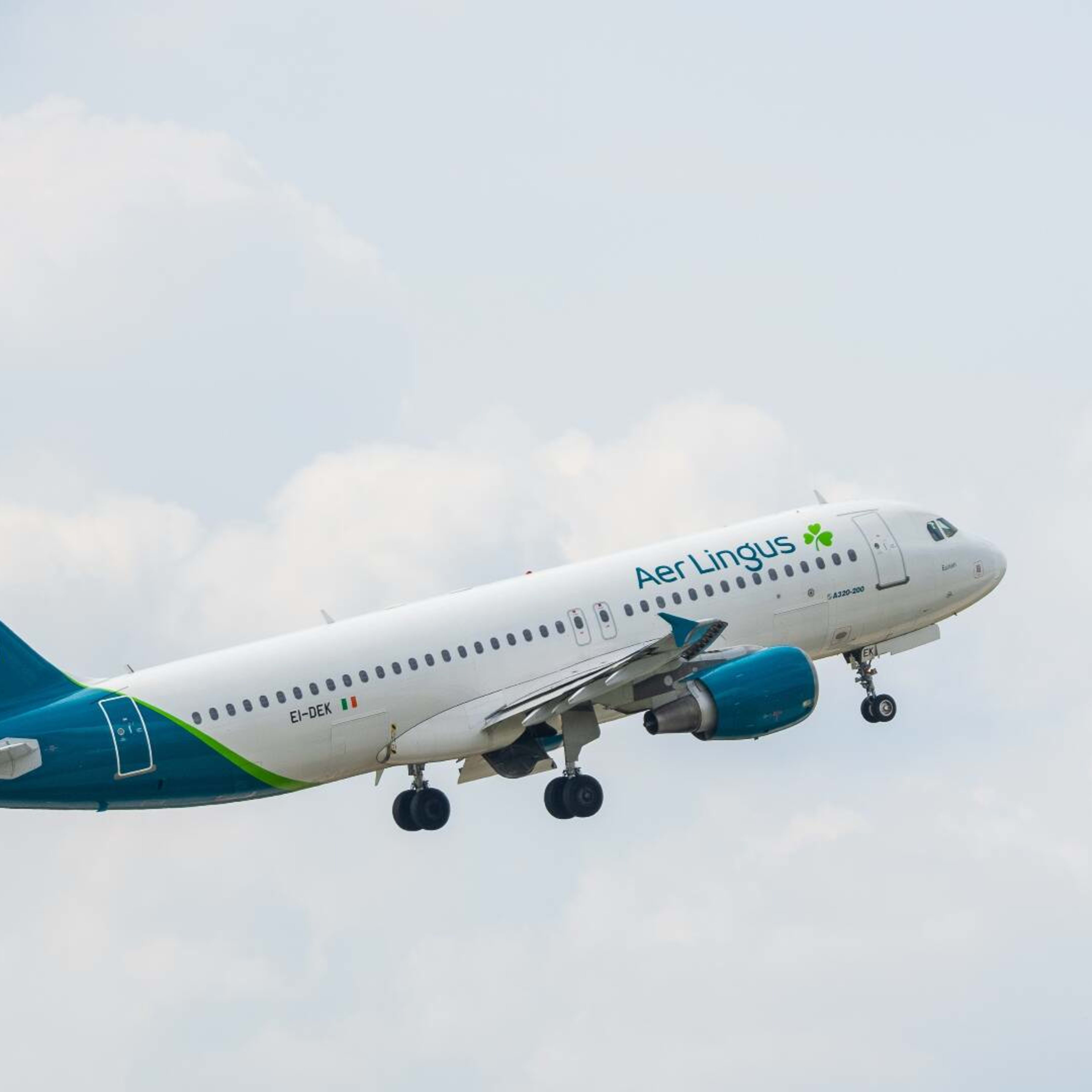 National airline abruptly cancels U.S. flights, refunds available