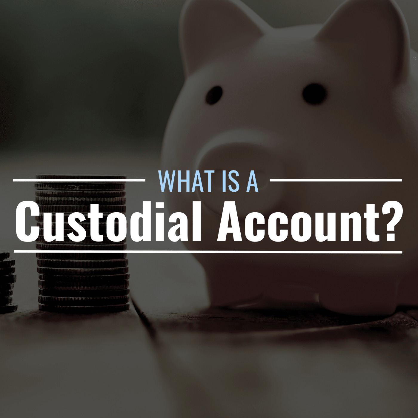 What Is a Custodial Account? Definition & Types - TheStreet