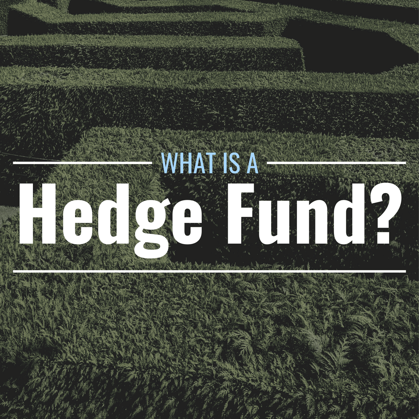 What Are Hedge Funds & How Do They Work? Definition, Purpose & Types -  TheStreet