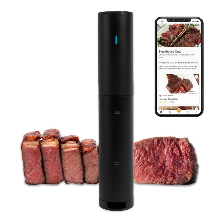 Anova Culinary Sous Vide 精密調理器 ミニ