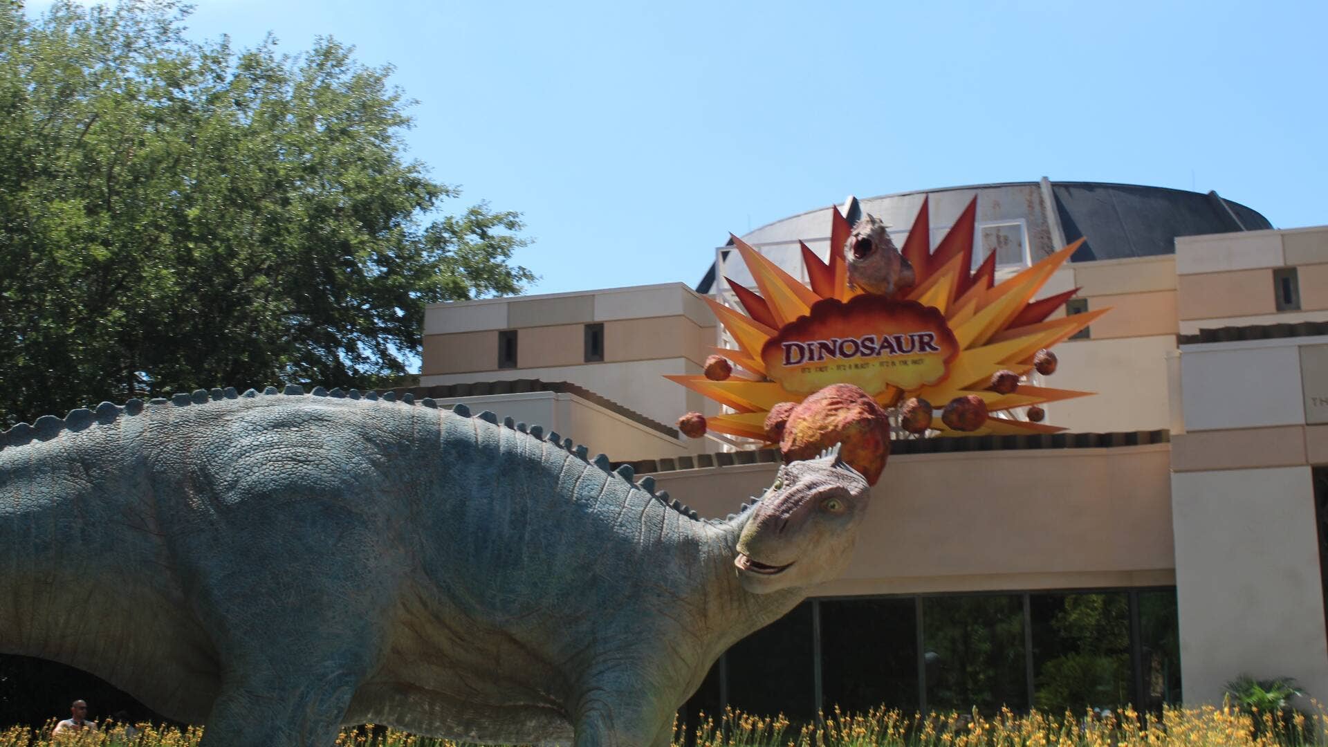 Vue de DinoLand USA au Disney's Animal Kingdom